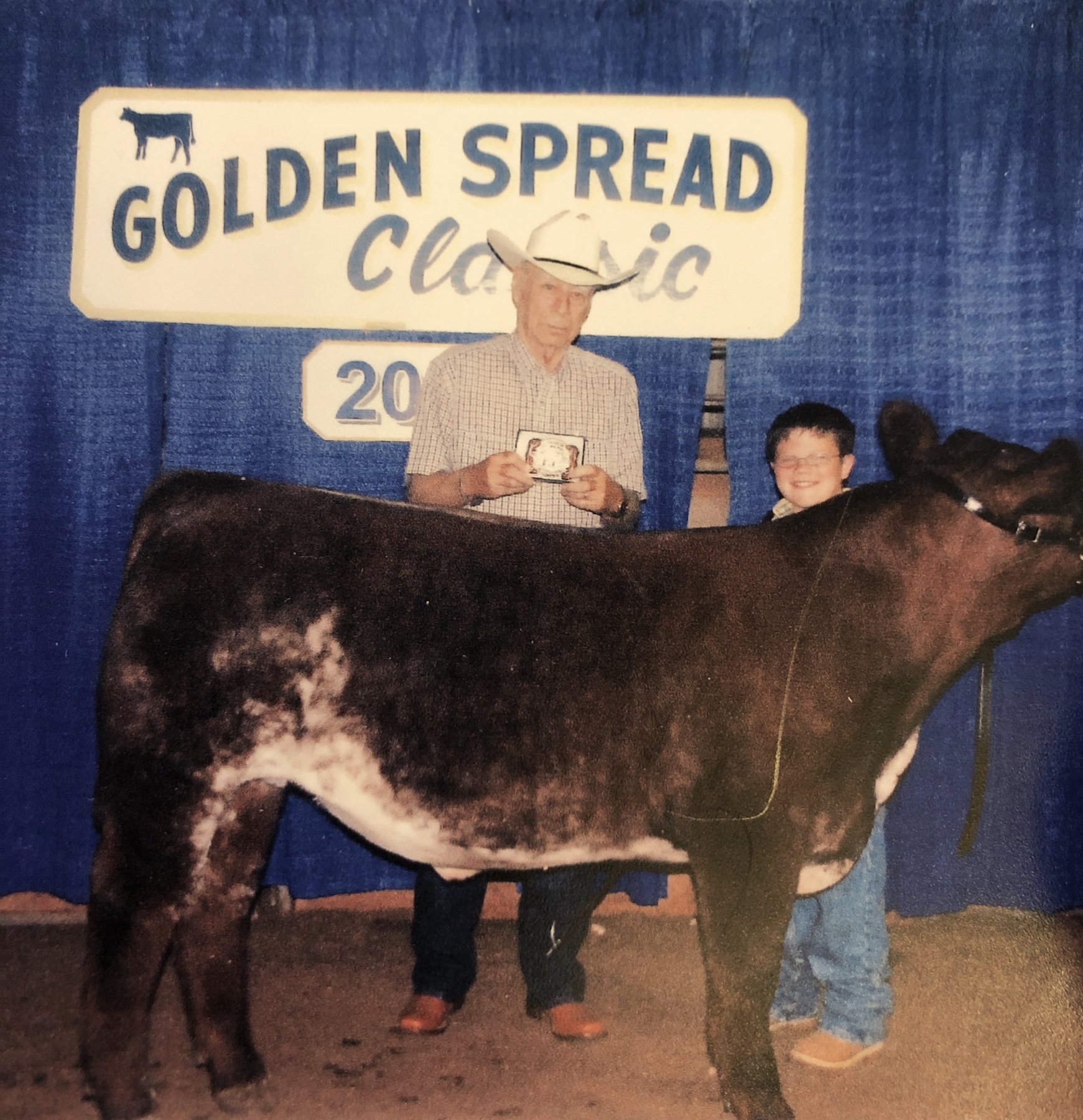 A young exhibitor showing a steer at the Golden Spread Classic